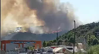 Suriye'deki Orman Yangını Türkiye'ye Sıçradı