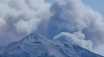 Suriye'nin Lazkiye Kırsalında Orman Yangını