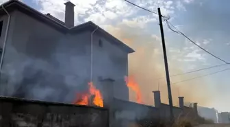 Çorlu'da Otluk Alanda Çıkan Yangın Kontrol Altına Alındı