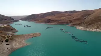 Van'da Barajlar Tehlikede: Su Seviyeleri Düşüyor