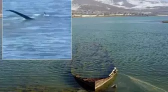 'Van Gölü canavarı' tartışmalarını alevlendirecek yeni görüntü