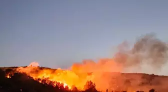 Adıyaman'da Orman Yangını: 150 Dönüm Alan Zarar Gördü