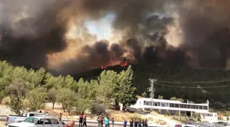 Adıyaman'da Orman Yangınına Hızlı Müdahale