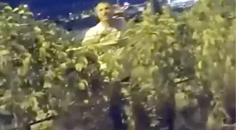 Avcılar'da Kadın Darbederi Tutuklandı