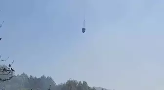 Bartın'da Yangınların Kontrol Altına Alınması