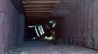 Batman'da Mahsur Kalan Kedi İtfaiye Ekipleri Tarafından Kurtarıldı