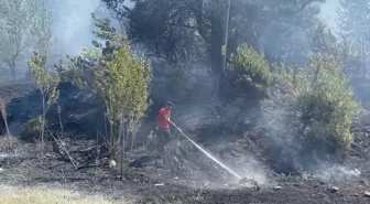 Bolu'da Orman Yangını Kısa Sürede Kontrol Altına Alındı