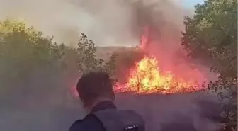 Elazığ'da Yangınlar Kontrol Altına Alındı