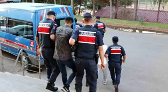 Gaziantep'te 4 göçmen kaçakçısı yakalandı