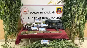 Malatya'da Uyuşturucu Operasyonu: 550 Gram Esrar ve 32 Kök Kenevir Ele Geçirildi