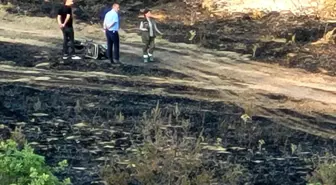 Eflani'deki Motorsiklet Yangını Ormana Sıçradı