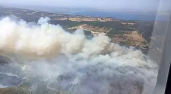 Kocaeli'deki Orman Yangını Nedeniyle Akçat Köyü Boşaltıldı