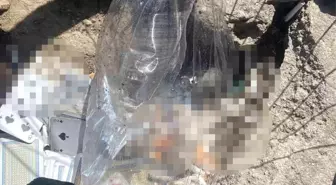 Küçükçekmece'de Kıraathaneye Şişe Atan Çocuklar Gözaltına Alındı