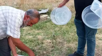 Mahalle Muhtarından Sokak Hayvanlarına Destek