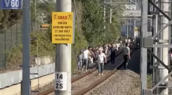 Marmaray'da Şiddetli Rüzgar Sebebiyle Ağaç Devrildi, Seferler Durdu