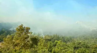 Mersin Anamur'da Orman Yangını Devam Ediyor