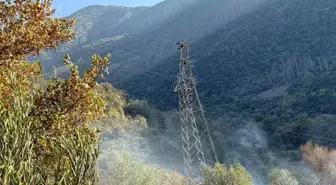 Osmaniye'de Orman Yangını Büyümeden Söndürüldü
