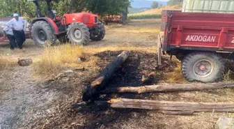Bolu'da Kuru Ot Yangını Kontrol Altına Alındı