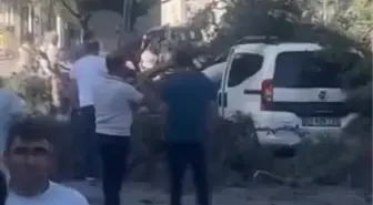 Şiddetli Rüzgar Ağaç Devrip Araç Üzerine Düştü