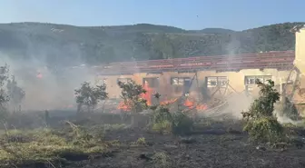 Erdek'te Şiddetli Rüzgar Yangın Çıkardı