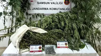 Samsun'da Uyuşturucu Operasyonu: Kenevir ve Esrar Ele Geçirildi
