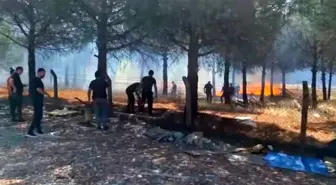 Silivri'de Yangın Paniği: İtfaiye Ekipleri Zamanında Müdahale Etti