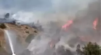 Sivas'ta Ağaçlık Alanda Yangın Çıktı