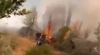 Sivas'ta Makilikte Çıkan Yangın Kontrol Altına Alındı