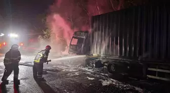 Adana'da Otoyolda Tır Yangını Ormanlık Alana Sıçradı