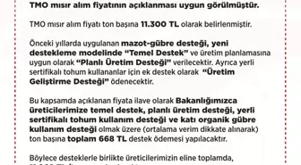 2025 Yılı Mısır Alım Fiyatı Belirlendi: Ton Başına 11 Bin 300 TL