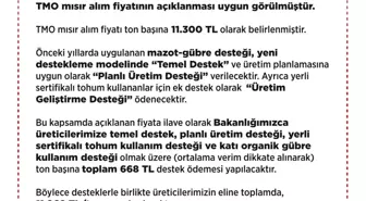 2025 Yılı Mısır Alım Fiyatı Açıklandı: Ton Başına 11 Bin 300 Lira