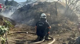 Yalova'da 3 Ayrı Noktada Yangın Çıktı