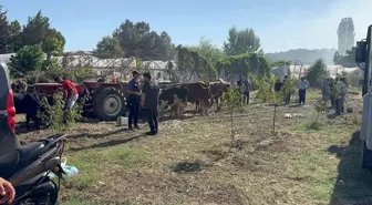 Yalova'da Arazi Yangınları Kontrol Altına Alındı