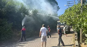 Zonguldak'ta Ağaçlık Alanda Yangın Kontrol Altına Alındı