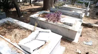 Adana'da Mezarlık Tahribatı: Jandarma Soruşturma Başlattı