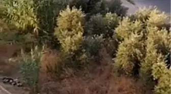 Alanya'da Drift Yapan 3 Sürücüye 166 Bin TL Ceza