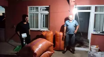 Zonguldak'ta Yılın İlk Fındık Mahsulü Alındı