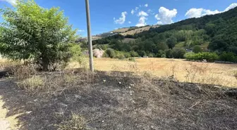 Samsun'un Atakum İlçesinde Yangın Kontrol Altına Alındı