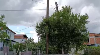 Samsun'da Tehlikeli Elektrik Direği Düzeltildi