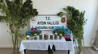 Aydın'da Uyuşturucu Operasyonu: İ.T. Tutuklandı