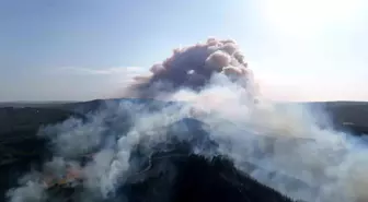 Çanakkale'de Orman Yangını: Ekipler Havadan ve Karadan Müdahale Ediyor