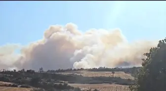 Çanakkale'de Orman Yangınına Hava ve Karadan Müdahale Devam Ediyor