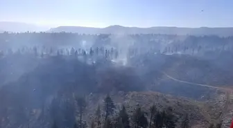 Karaman'daki Orman Yangını 24 Saatte Kontrol Altına Alındı