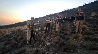 Kilis'te Kaybolan 26 Hayvan Bulundu