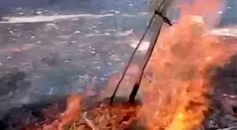 Nusaybin'de Ot Yangını Kontrol Altına Alındı