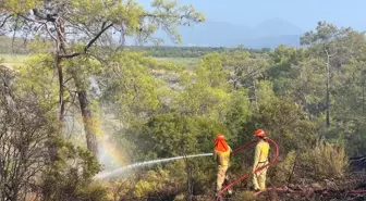 Fethiye'de Orman Yangını Kontrol Altına Alındı