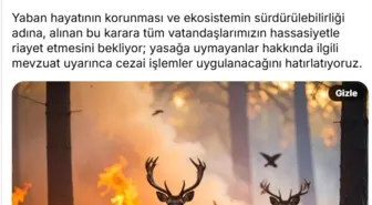 Orman Yangınlarından Etkilenen Alanlarda Avlanma Yasaklandı