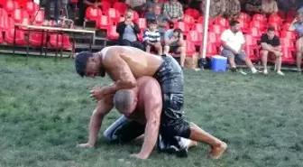 Şile Yağlı Pehlivan Güreşleri 2 Yıl Aradan Sonra Yapıldı