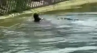 Adana'da Sulama Kanalında Erkek Cesedi Bulundu