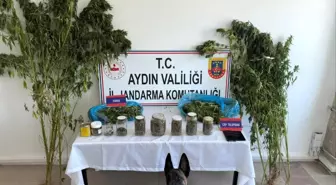 Nazilli'de Uyuşturucu Operasyonu: 1 Şüpheli Tutuklandı